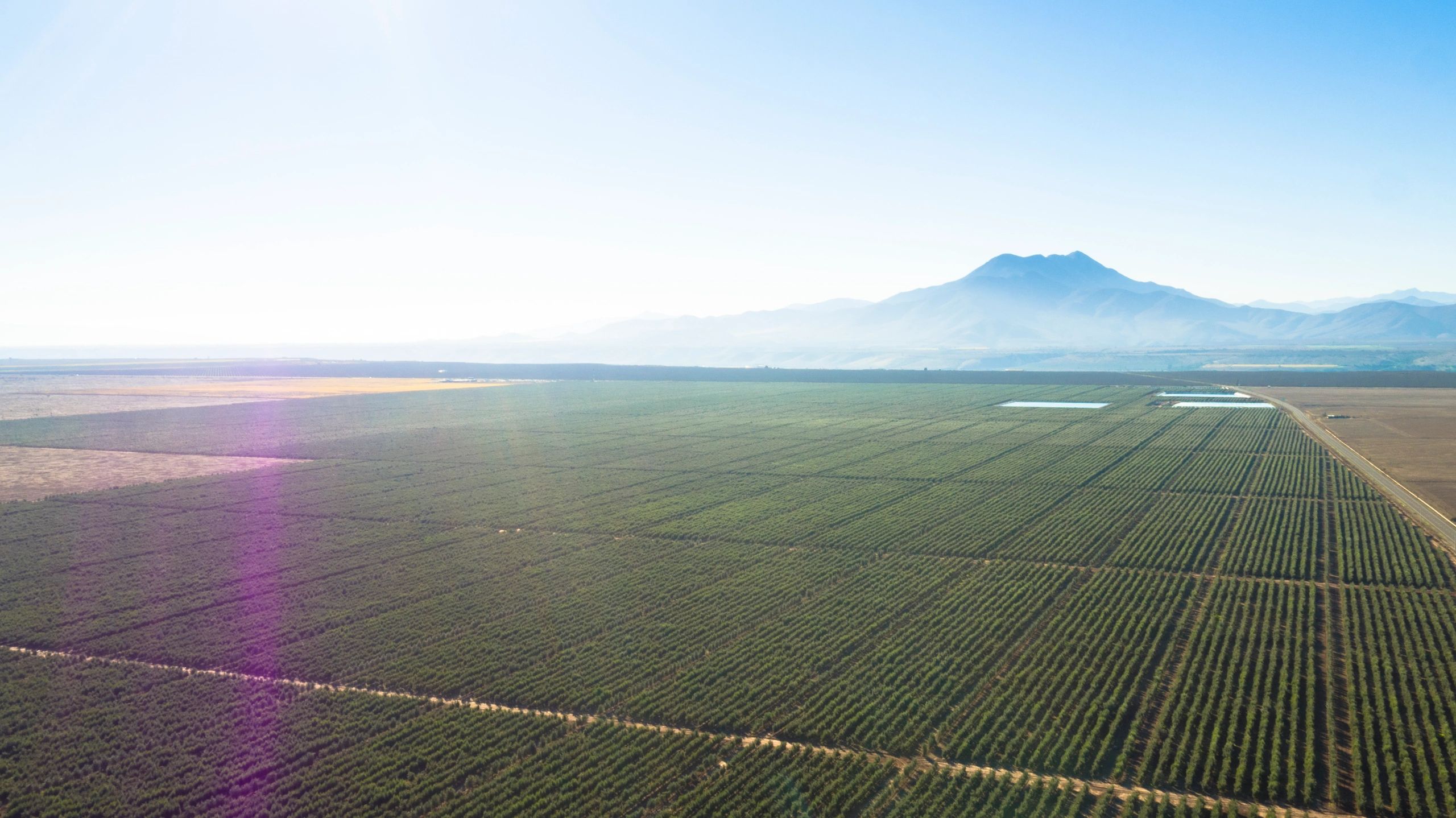 Chilean vineyard landscape for tour extension